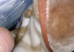 به كانال گيف سكسي دلیل مجموعه